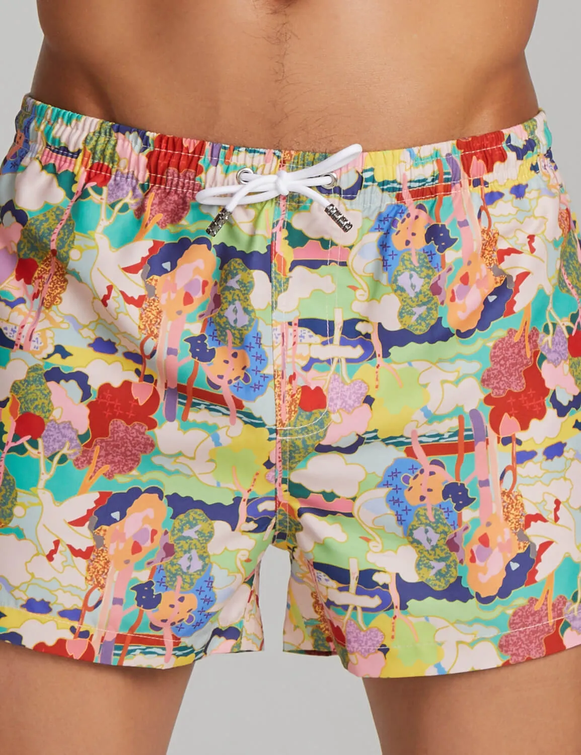 Beach Shorts 221301 in Multicolor