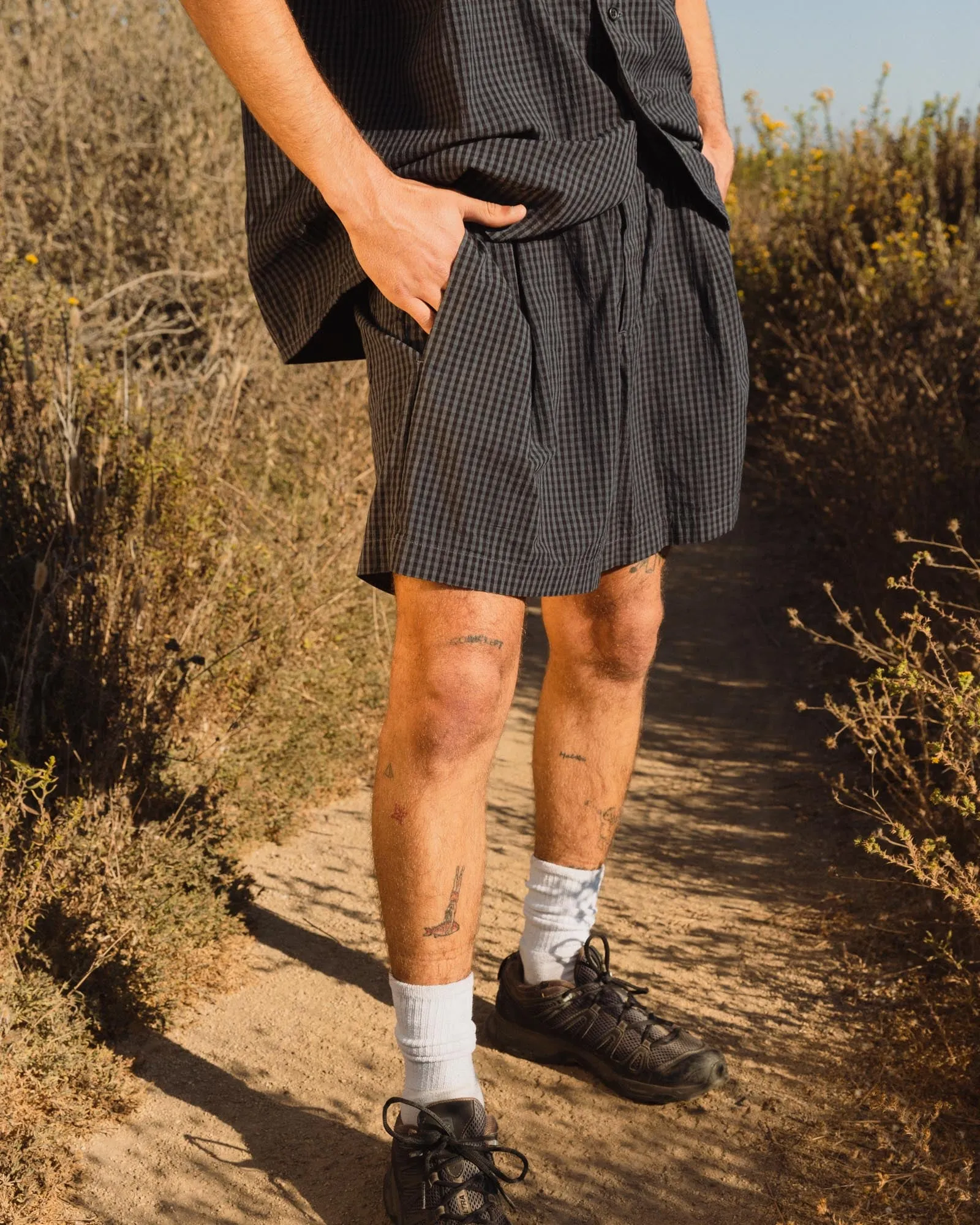 Daydream Shoreline Shorts