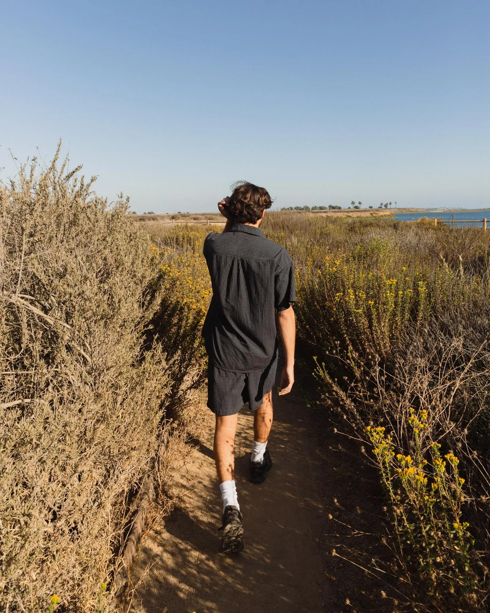 Daydream Shoreline Shorts