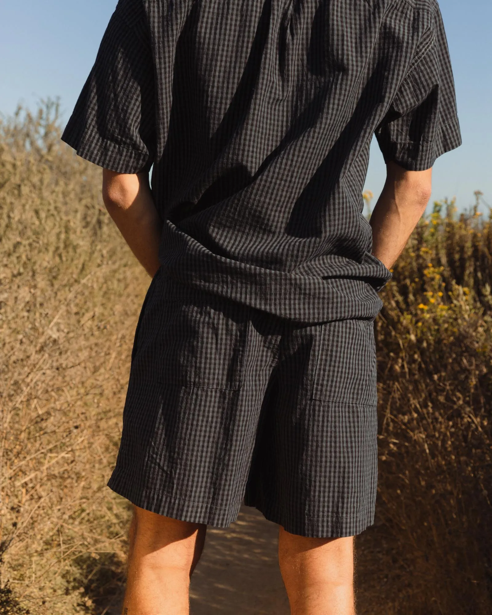 Daydream Shoreline Shorts